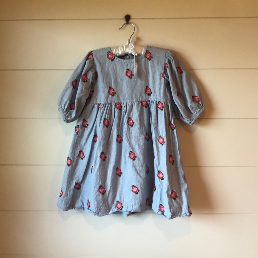 Pink Chicken Blue Windowpane Print with Embroidered Flowers Girls 6